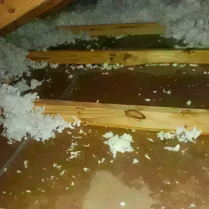 Attic Water Damage in Fraser, MI