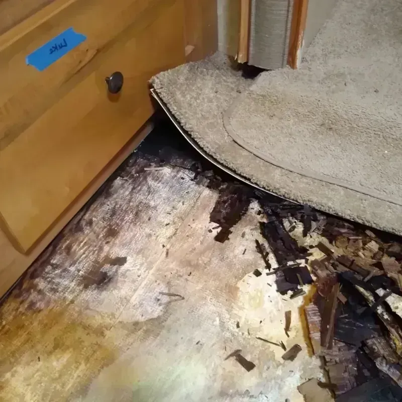 Wood Floor Water Damage in Fraser, MI